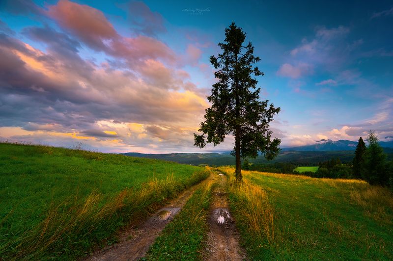Widok na Łapszankę фото превью
