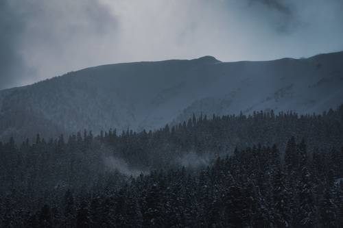 Cold twilight.