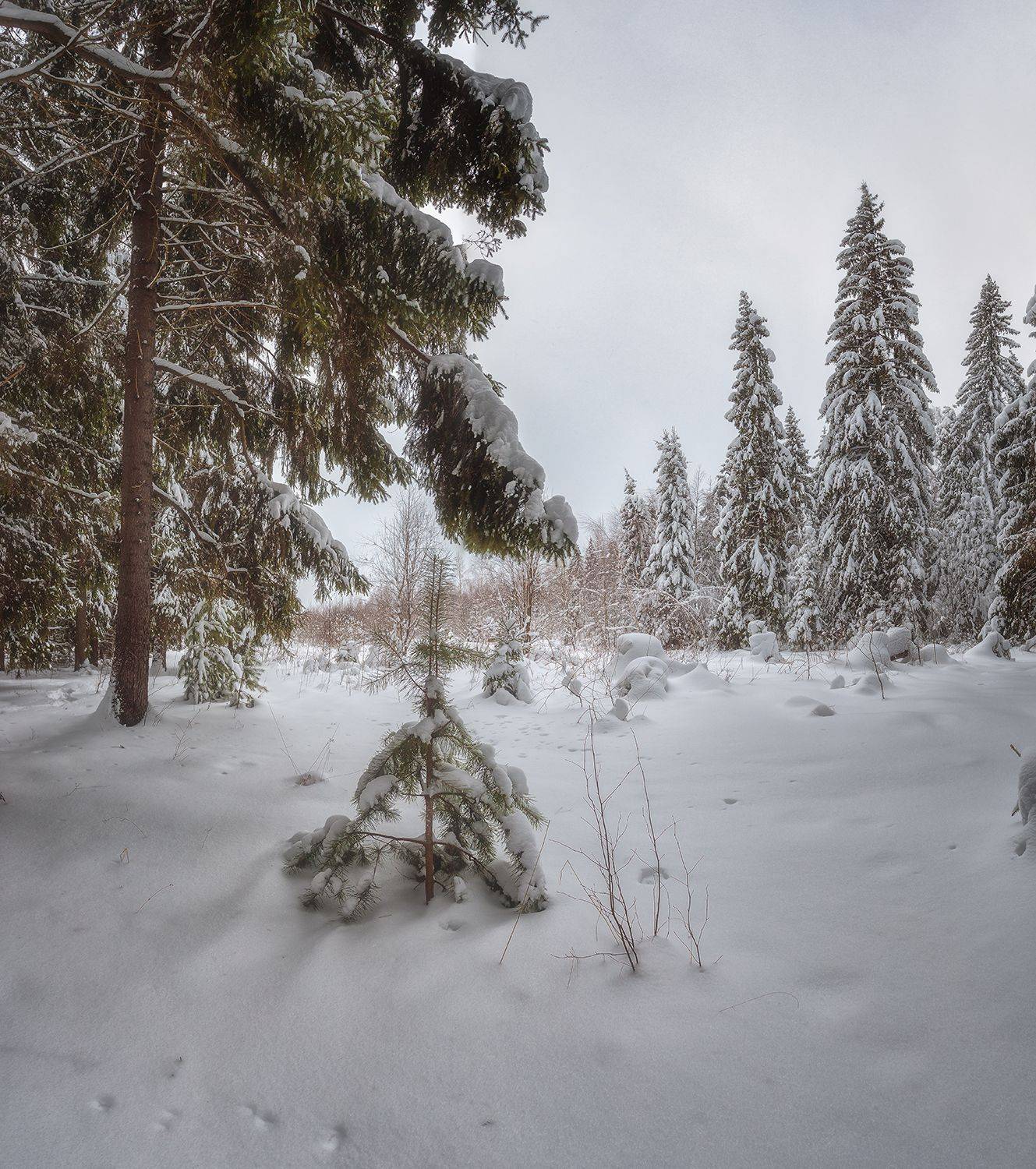 , Николай Андреев