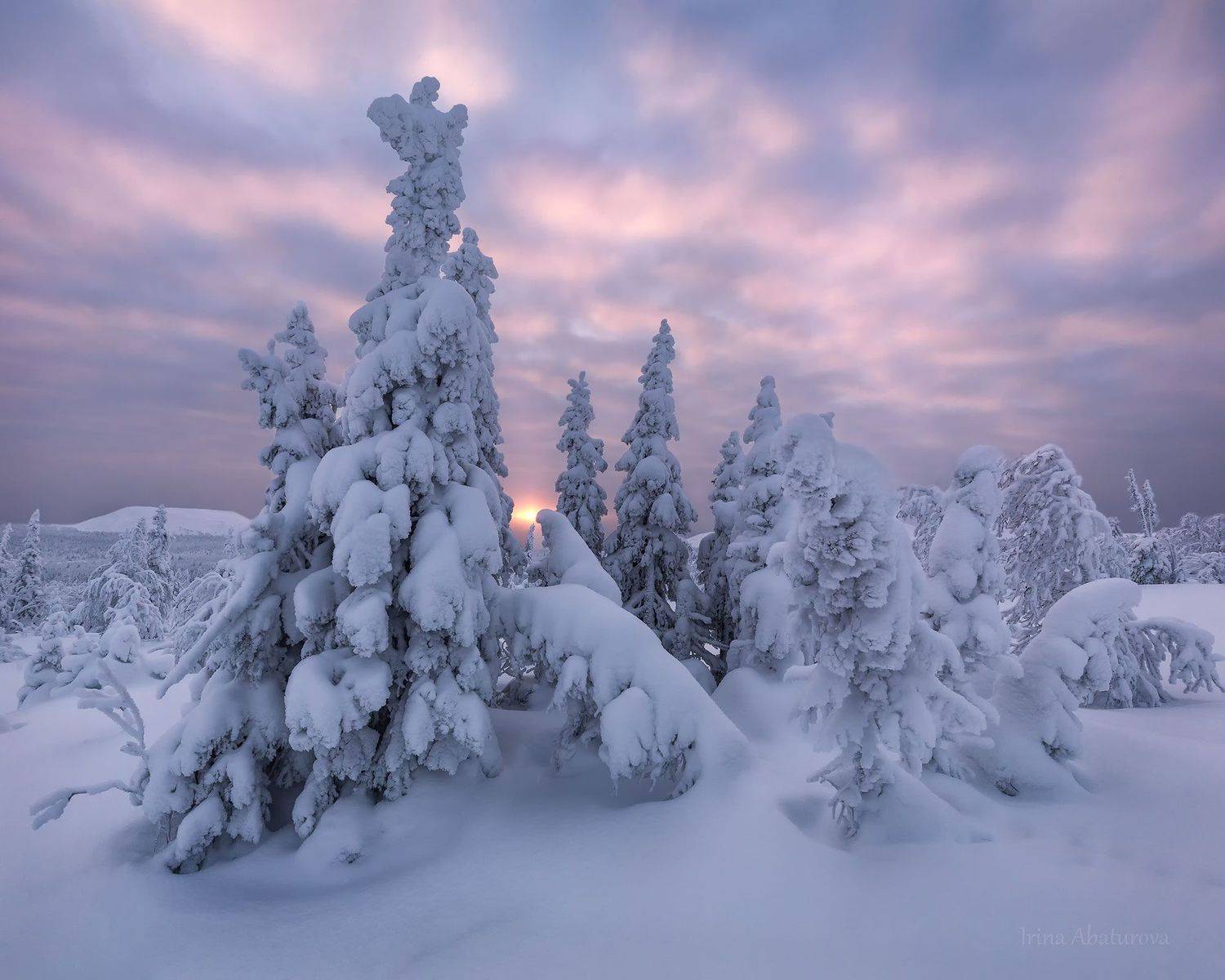 зима, урал, север, снег, ветер, сугроб, гух, главный уральский хребет, рассвет, Ирина Абатурова