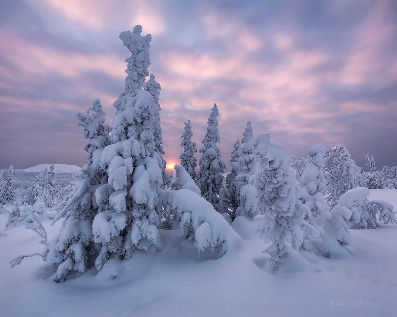 зима, урал, север, снег, ветер, сугроб, гух, главный уральский хребет, рассвет Сказка северного Урала фото превью