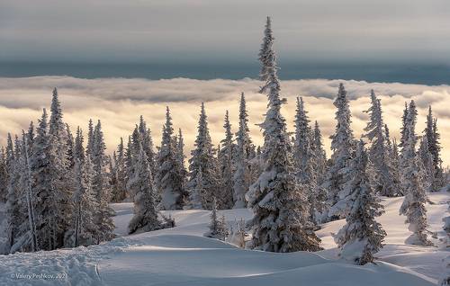 Над облаками