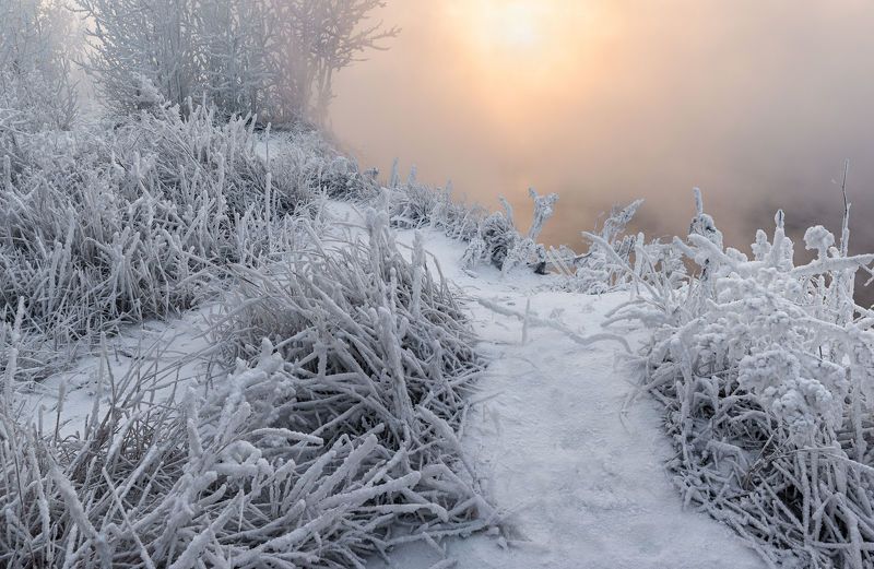 Тропинка к солнцу. фото превью
