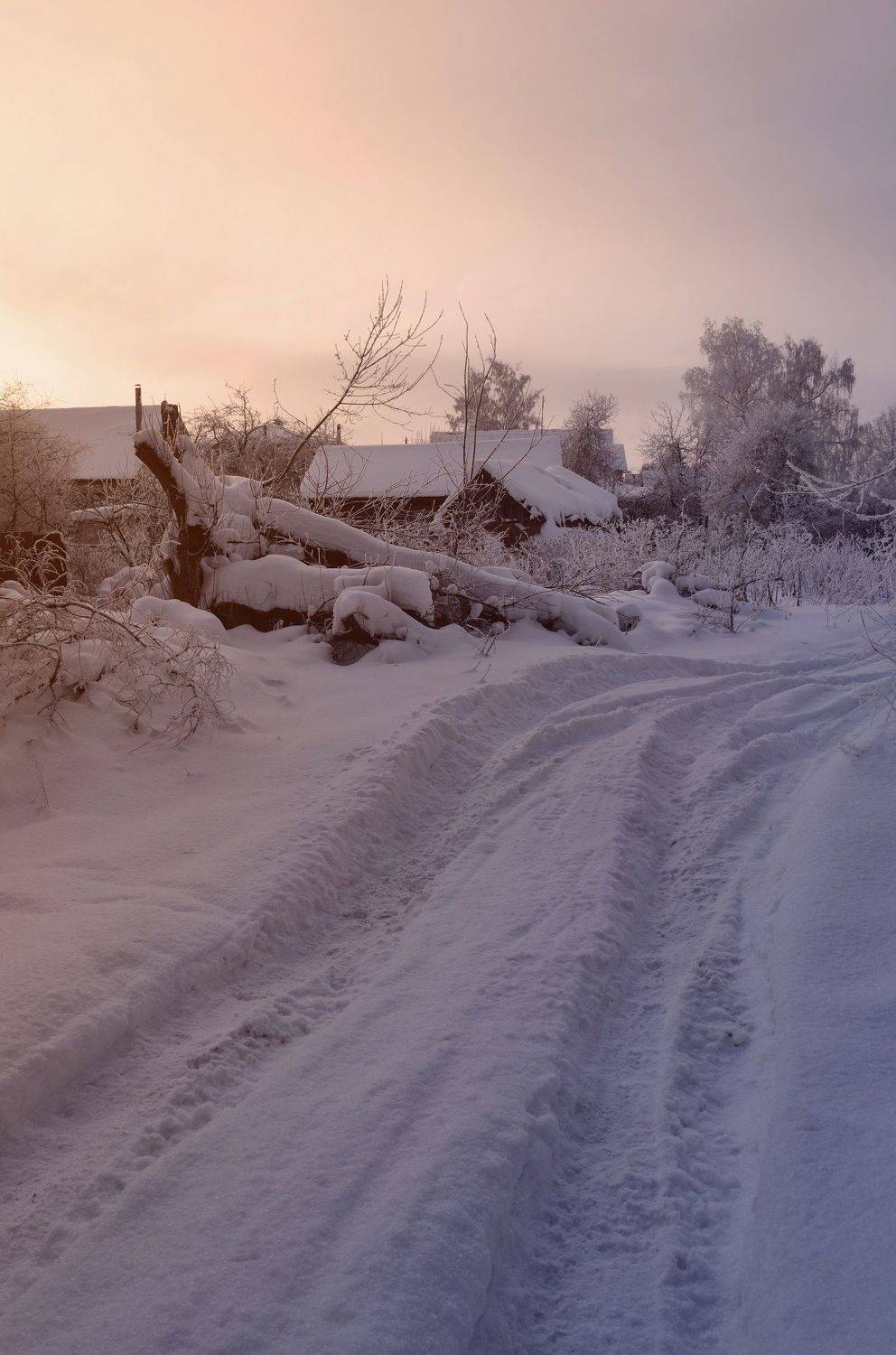 , Александр Пархоменко
