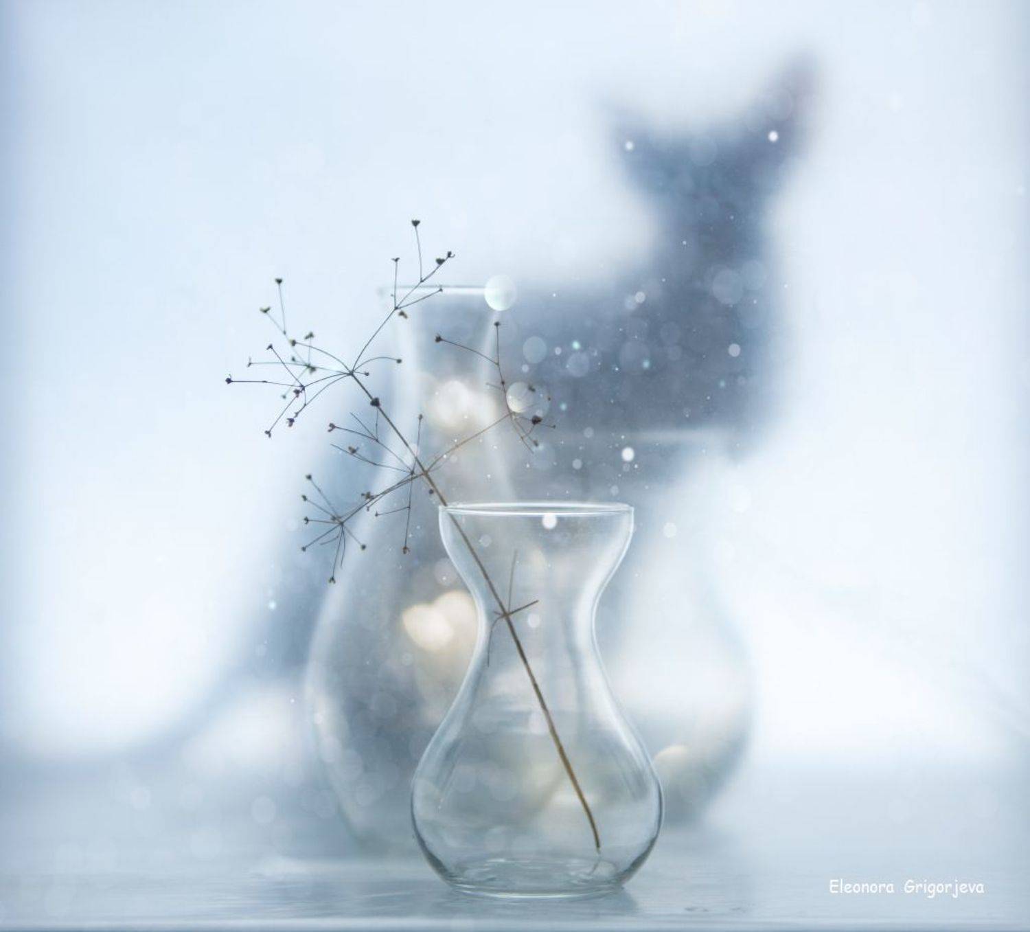 , Eleonora Grigorjeva