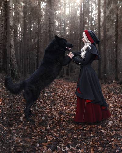 Lady and the wolf