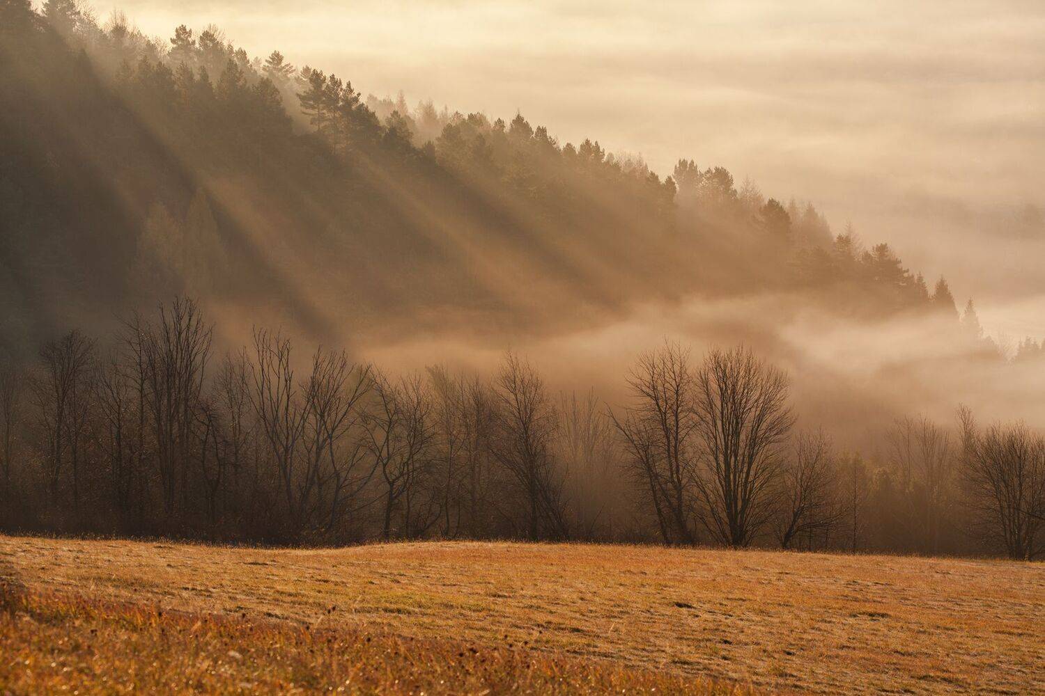 ,  Mirosław Pruchnicki