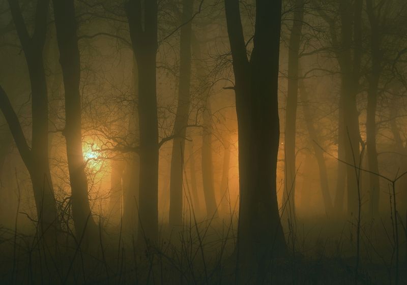 Ночной туман фото превью