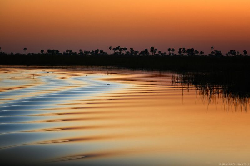 Silence фото превью