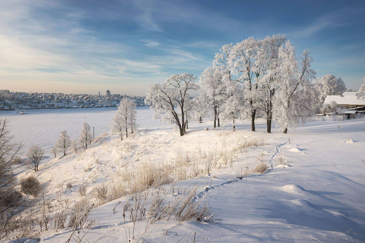 зима, иней, солнце, деревья, берег, волги, волга, синее, небо, Сальников Евгений
