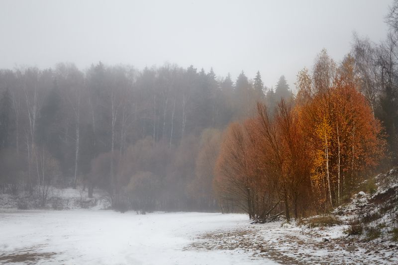 встреча осени с зимой... фото превью