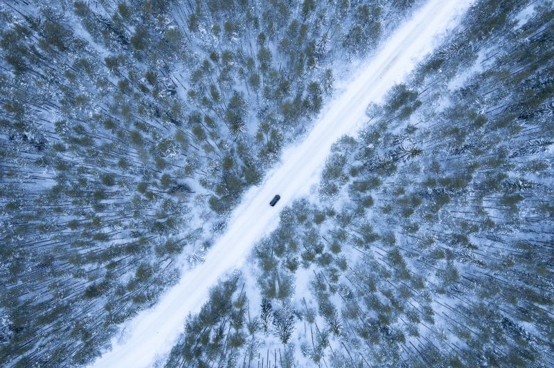 Лесными дорогами фото превью