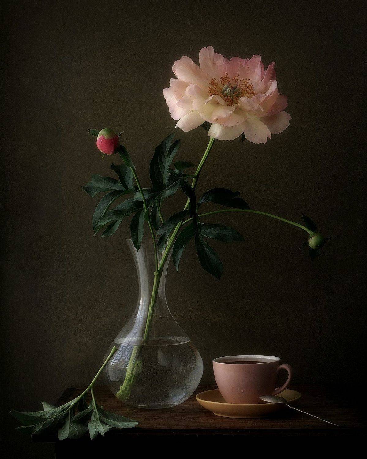 сергей алексеев, натюрморт, Сергей Алексеев