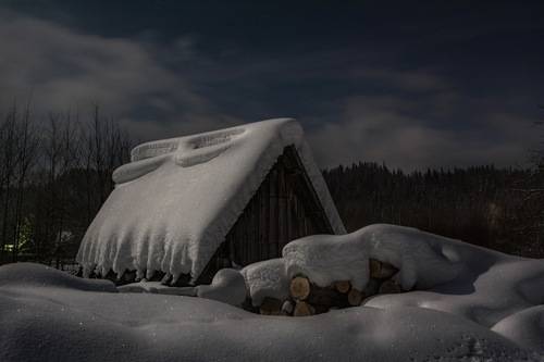 В лунном свете
