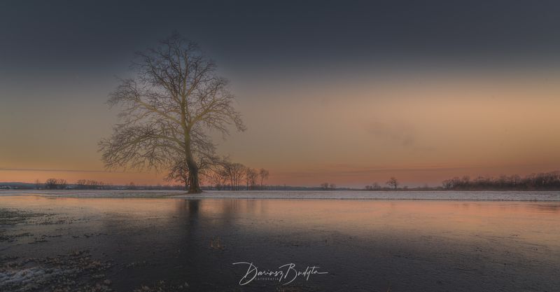 Winter tree фото превью