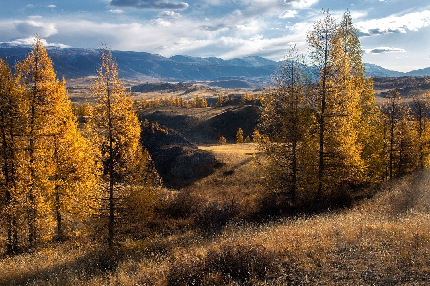 , Юрий Столыпин