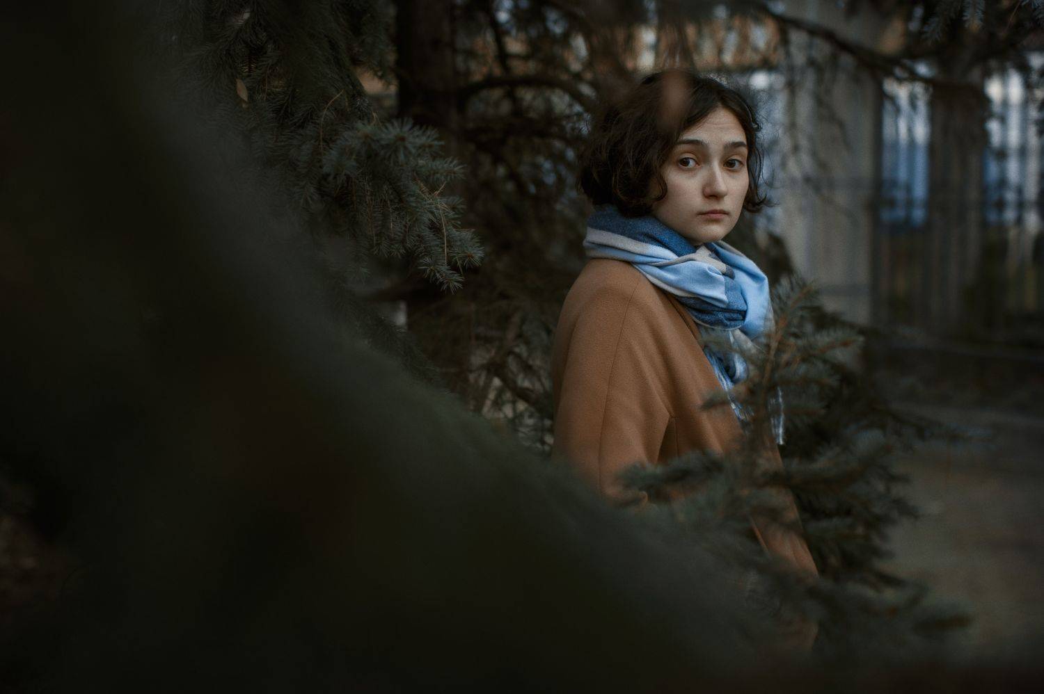 , Владимир Осауленко