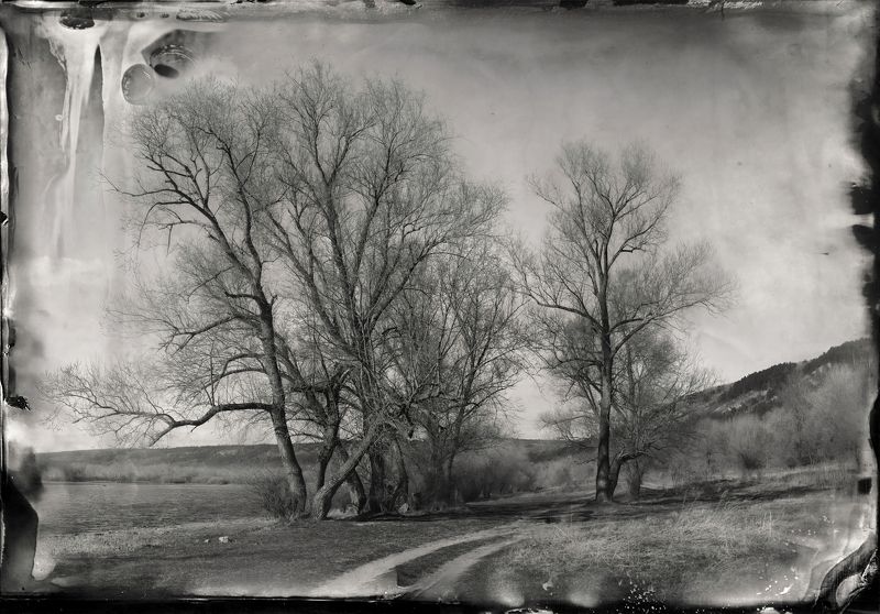 амбротип,  плёнка, средний формат, пейзаж, большой формат.  фото превью