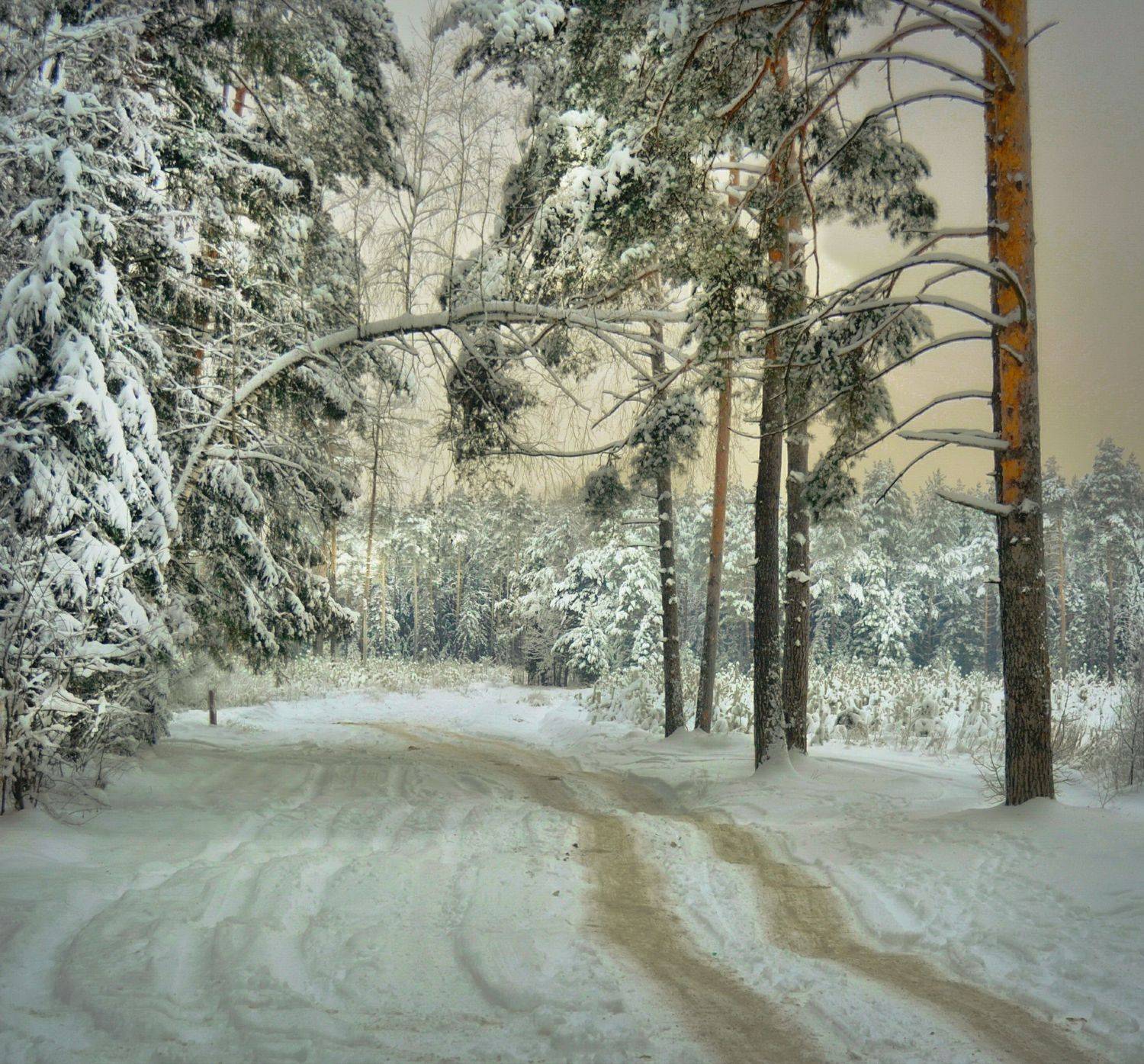 , Михаил Новиков