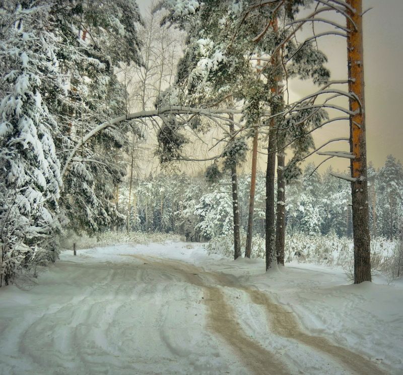 Дорогами Зимы  фото превью