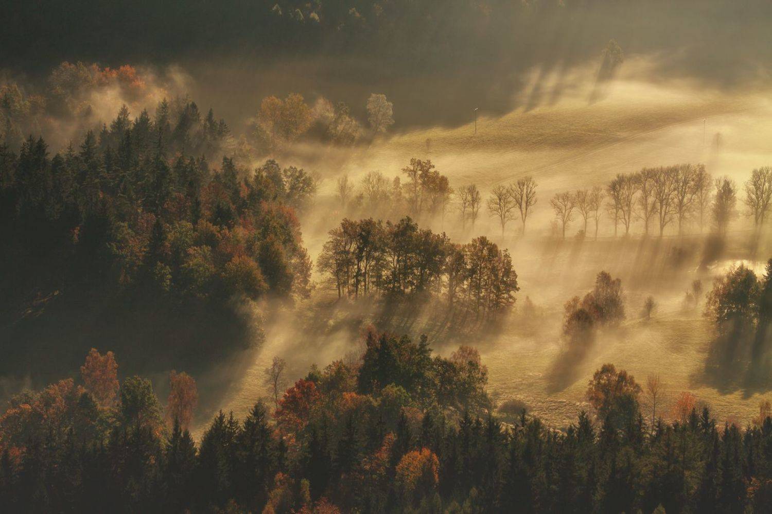 landscape,autumn,mountains,canon, Iza i Darek Mitręga