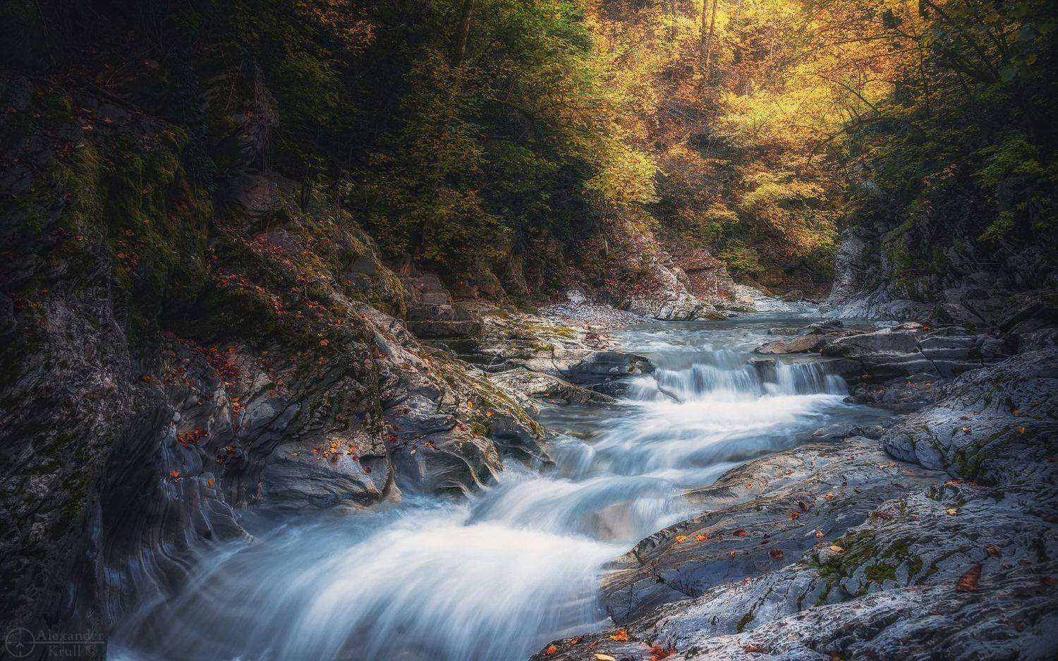 , Александр Круль