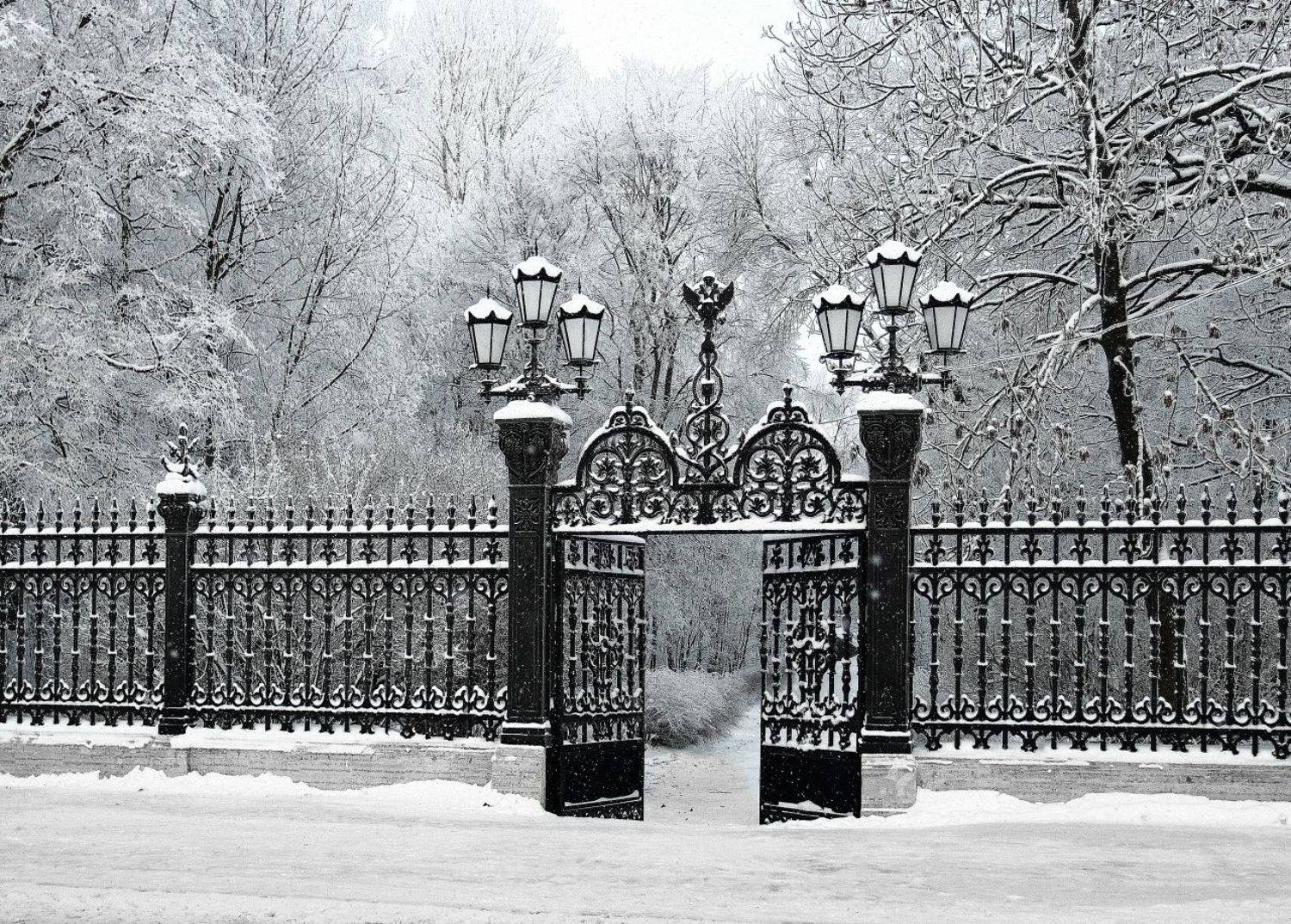 , Сергей Григорьев