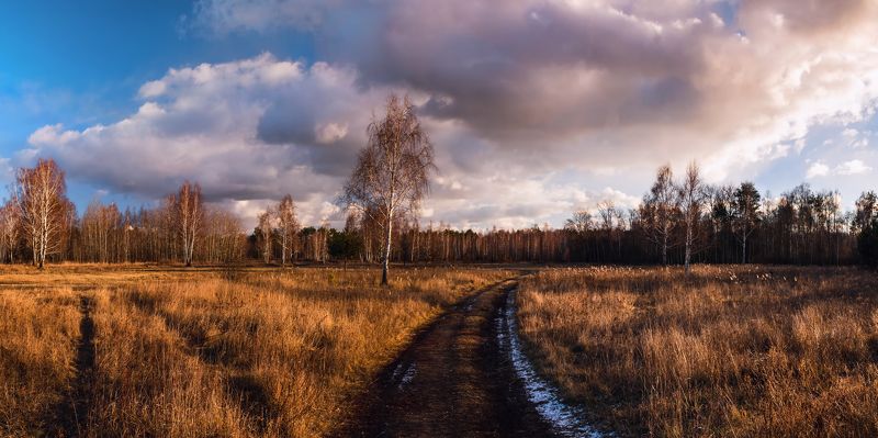 луг зима январь снежные тучи Когда январь весною пахнет фото превью
