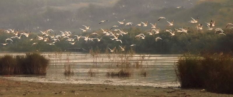 одесса ХАДЖИБЕЙ фото превью