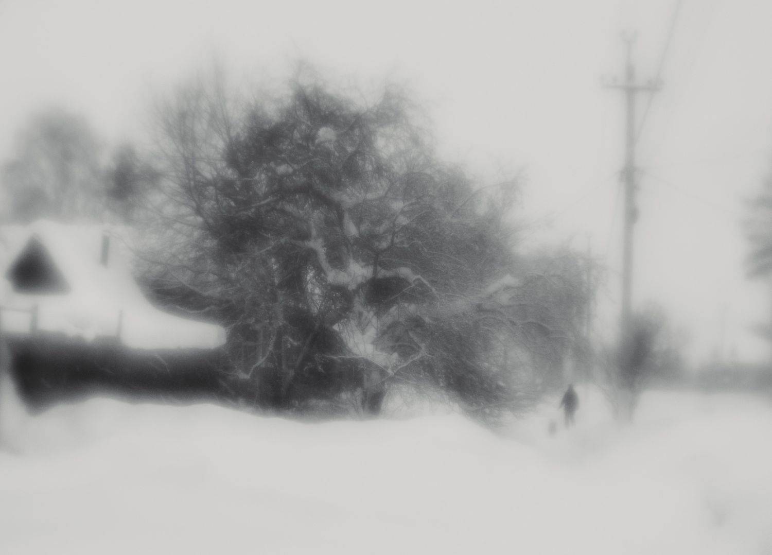 , Лариса Лофицкая