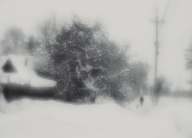 Белая тишина фото превью