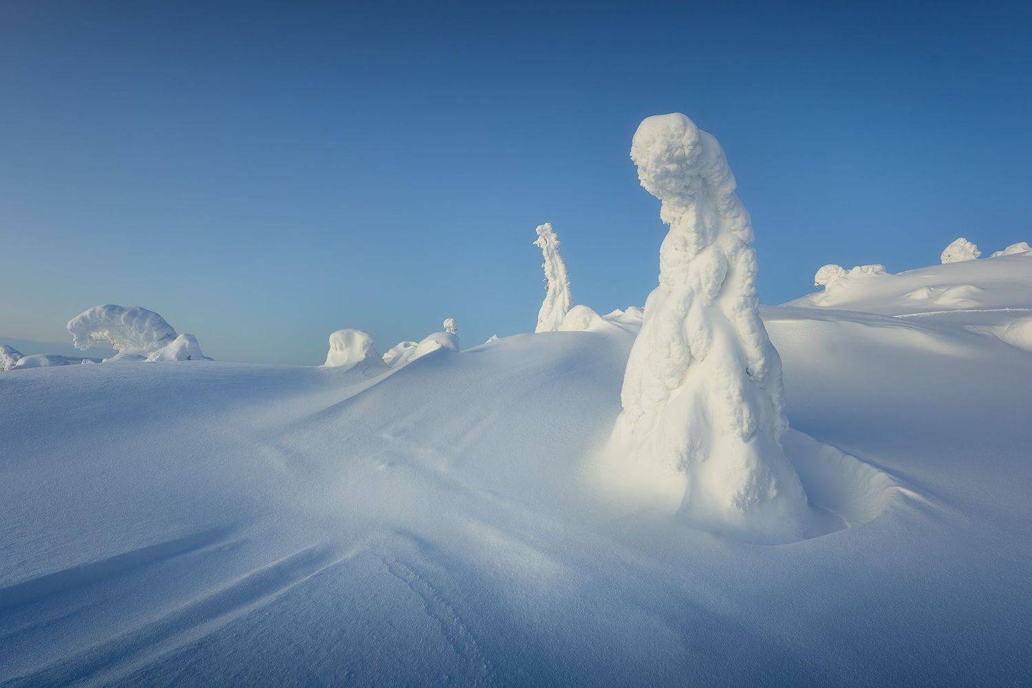 сопка, север, кольский, зима, кандалакша, Александр Дударев