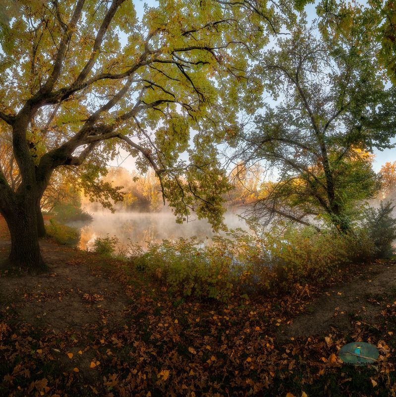 Я люблю осень фото превью