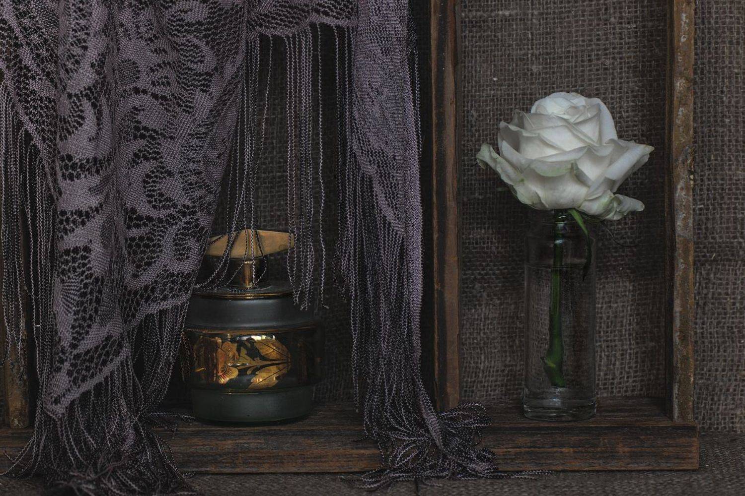 , Ольга Новикова