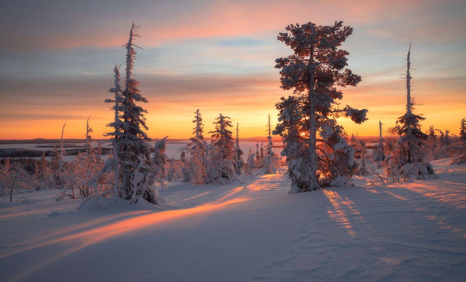 , Виталий Истомин