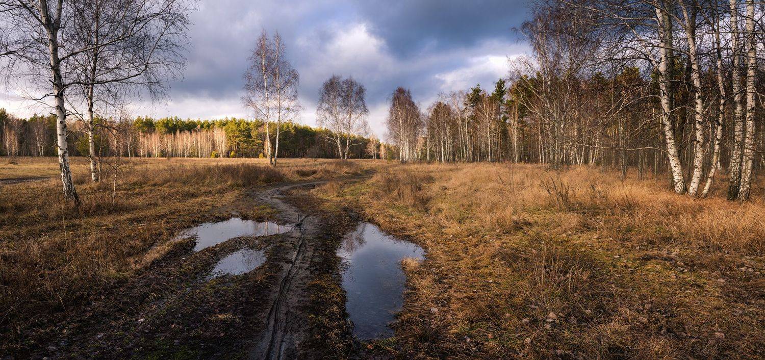 луг зима январь лужи тучи, Галанзовская Оксана