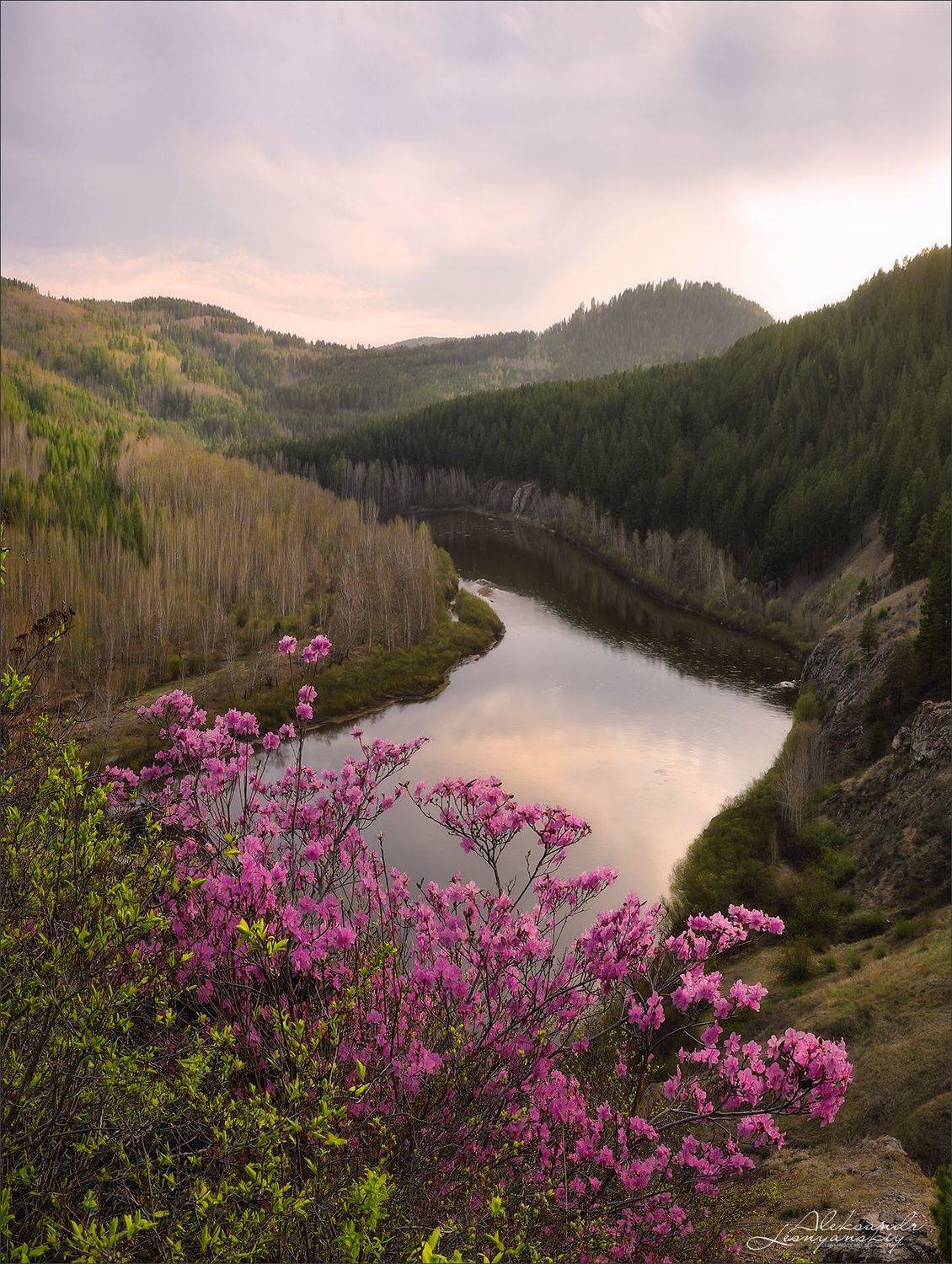 забайкальский край, чита, Александр Леснянский