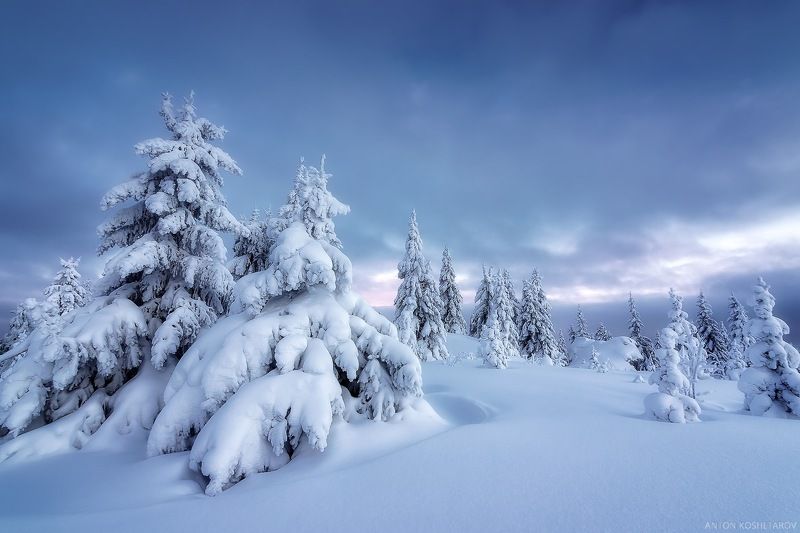 урал горы лес пейзаж зима Зимняя прогулка фото превью
