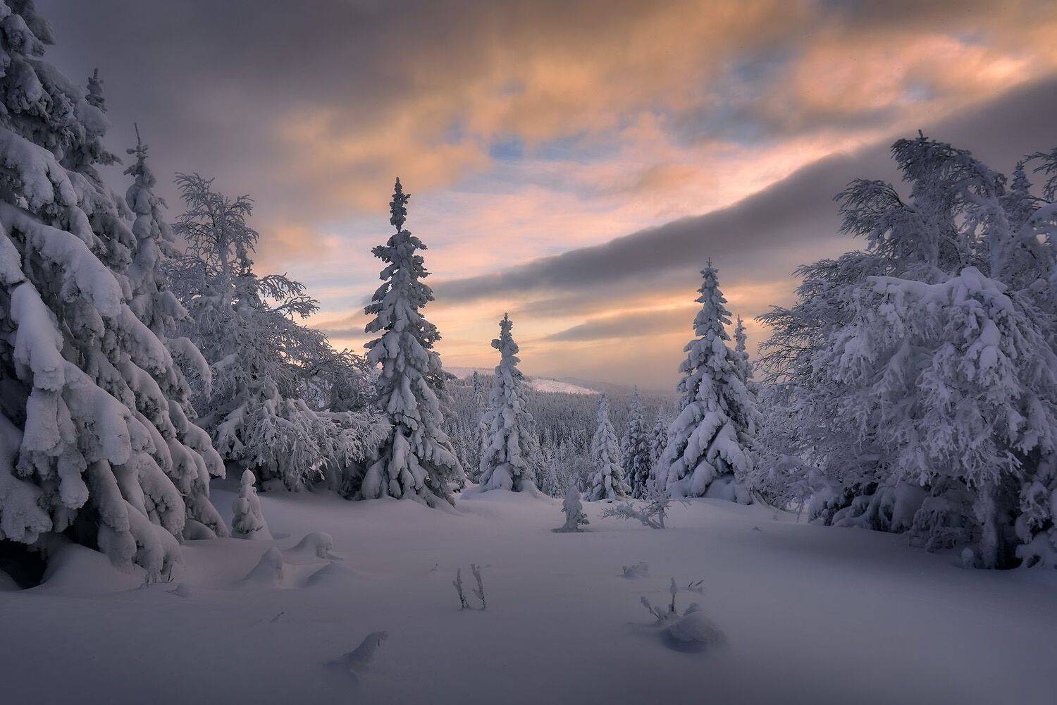 , Сергей Межин