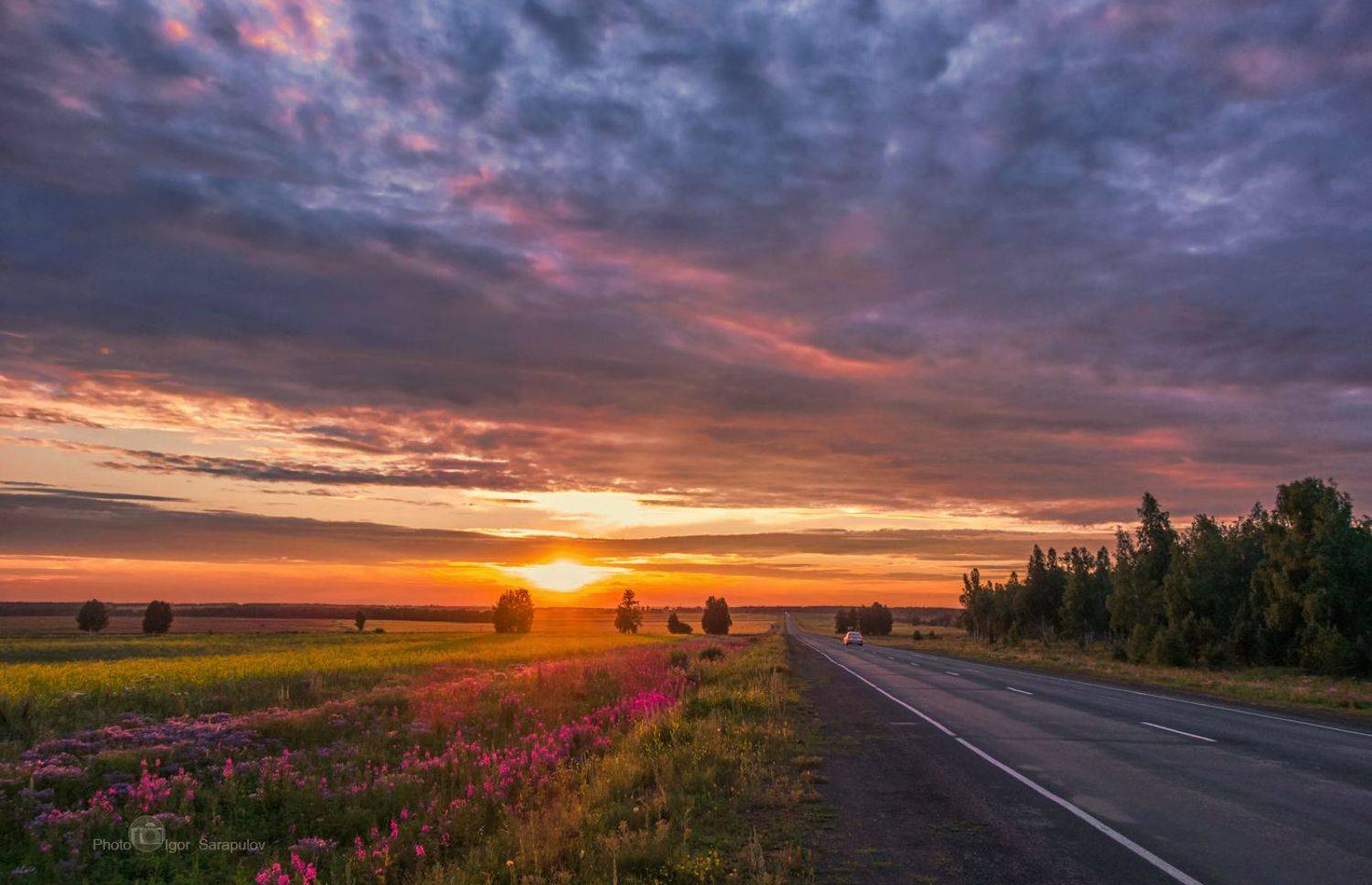 путешествие на автомобиле, трасса, путешествия по россии, даль, дорога, закат, вечер, сибирь, ландшафт, небеса, освещение, поле, путешествие, россия, рубеж, солнце, туризм, цветение, цветы, Сарапулов Игорь