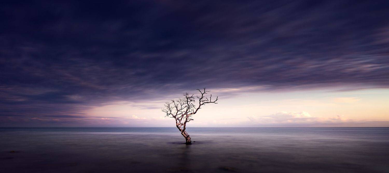 , Alexandru Popovski