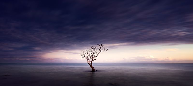 solitude фото превью