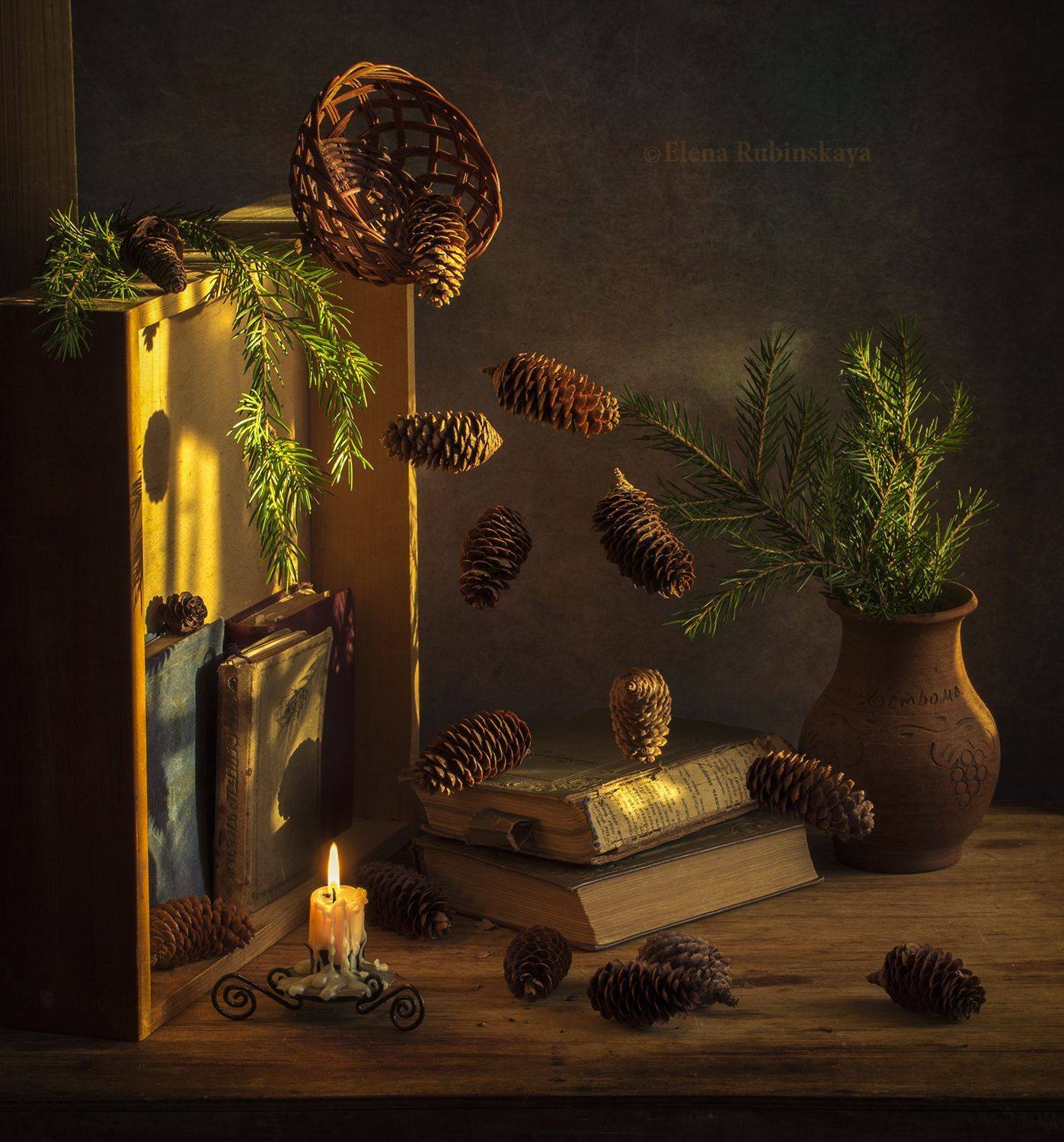 левитация, кострома, шишки, еловые шишки, Елена Рубинская