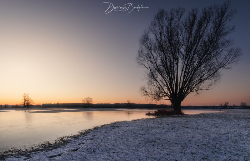 Winter tree фото превью