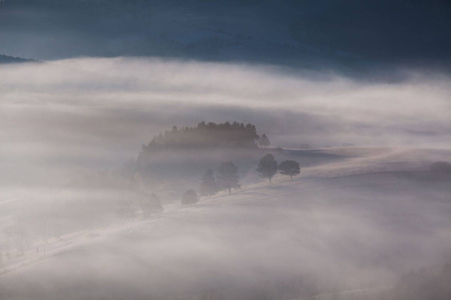 ,  Mirosław Pruchnicki