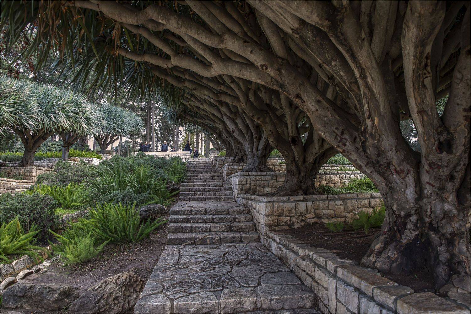 , Валентина Булкина