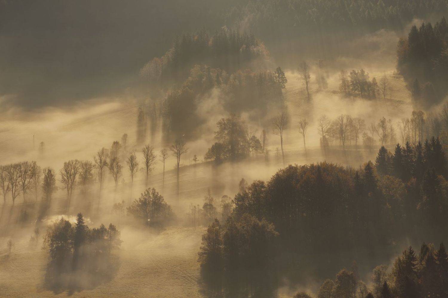 landscape,autumn,mountains,canon, Iza i Darek Mitręga
