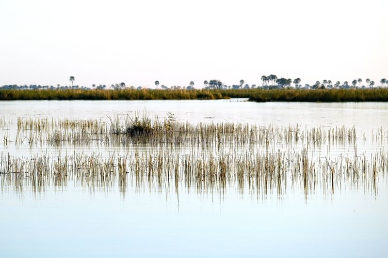 What\'s under? фото превью