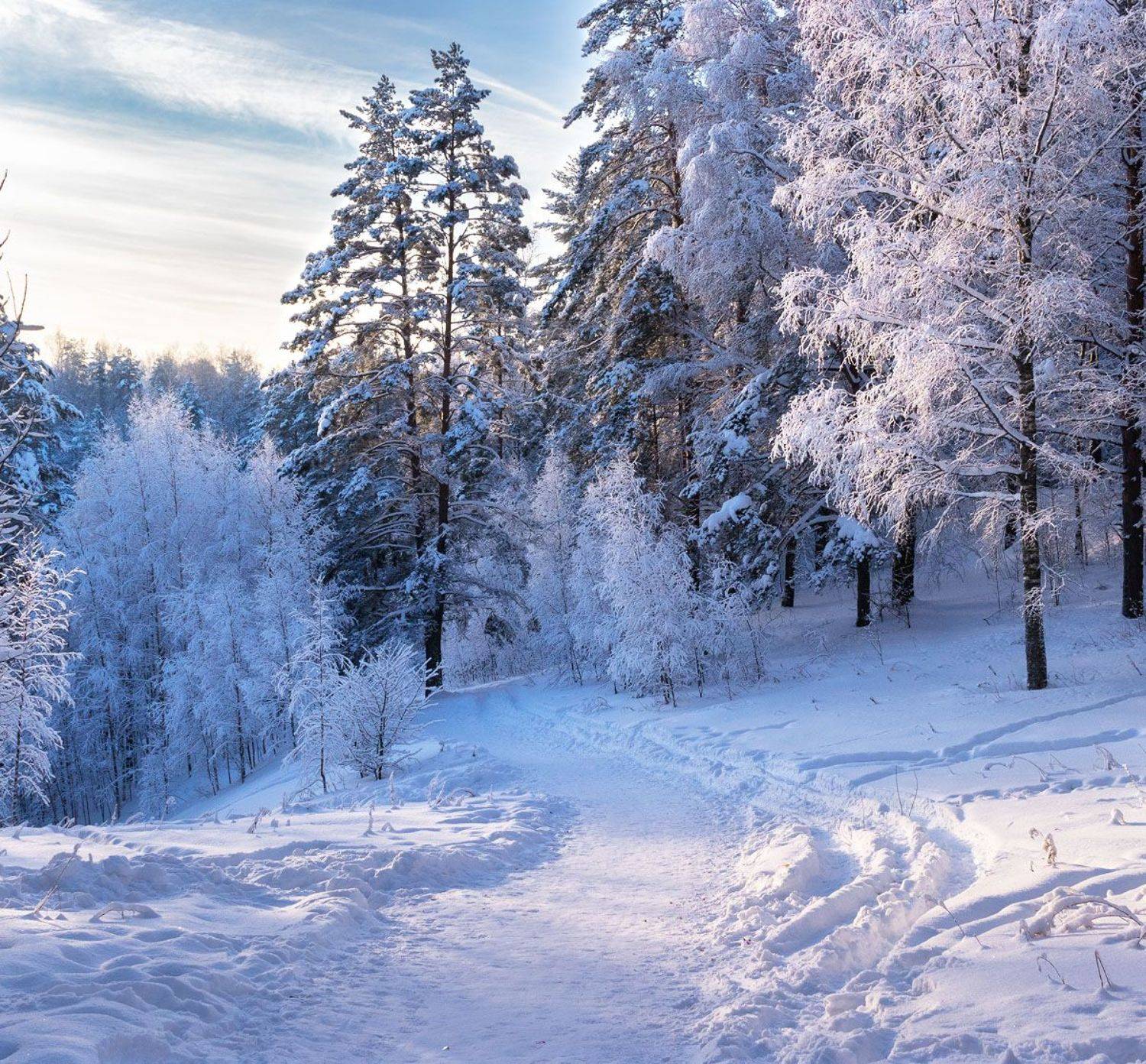 , Алексей Герасимов