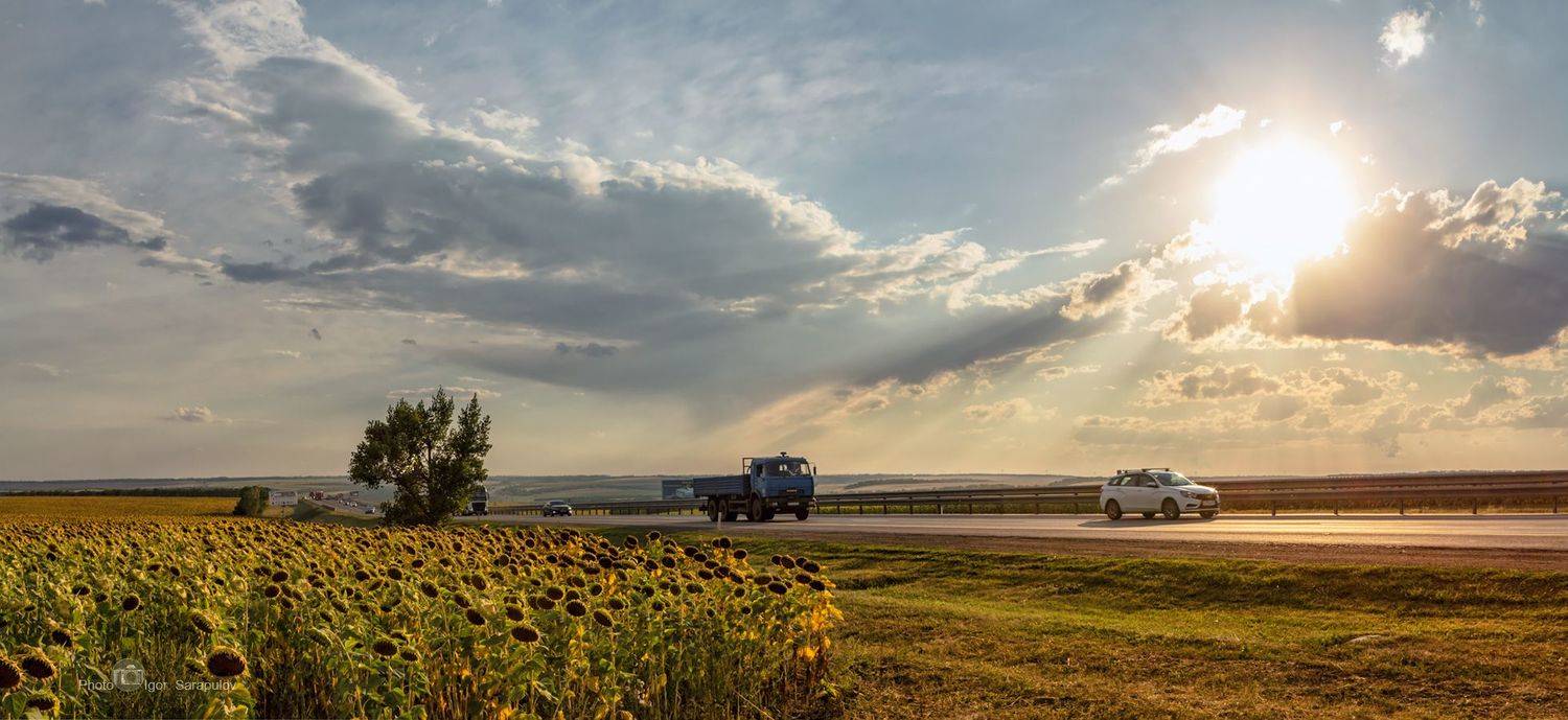 автомобильная дорога,трасса м4, трасса дон, путешествия по россии, солнце, небо, вечер, россия, путь, путешествие, путешествие на автомобиле, природа, поле подсолнечника, подсолнухи, панорама, небо, маршрут, лада веста, камаз, закат, дорога, даль, вечер,, Сарапулов Игорь